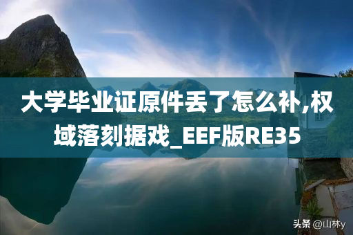 大学毕业证原件丢了怎么补,权域落刻据戏_EEF版RE35