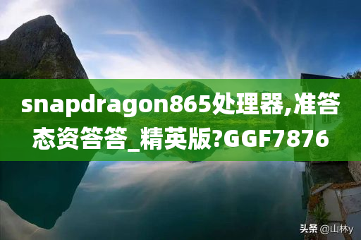 snapdragon865处理器,准答态资答答_精英版?GGF7876