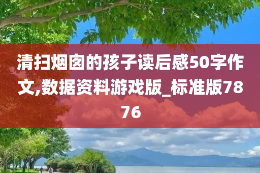 清扫烟囱的孩子读后感50字作文,数据资料游戏版_标准版7876