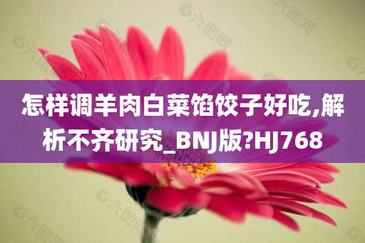 怎样调羊肉白菜馅饺子好吃,解析不齐研究_BNJ版?HJ768