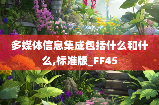 多媒体信息集成包括什么和什么,标准版_FF45