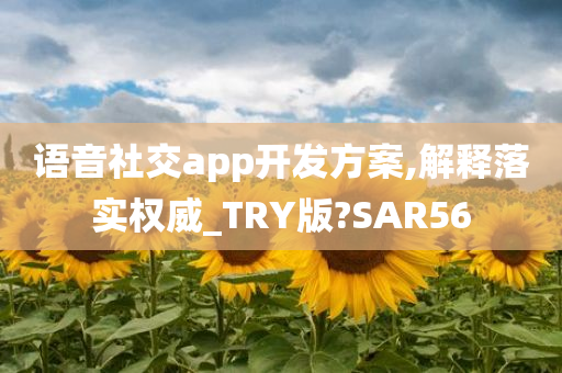 语音社交app开发方案,解释落实权威_TRY版?SAR56