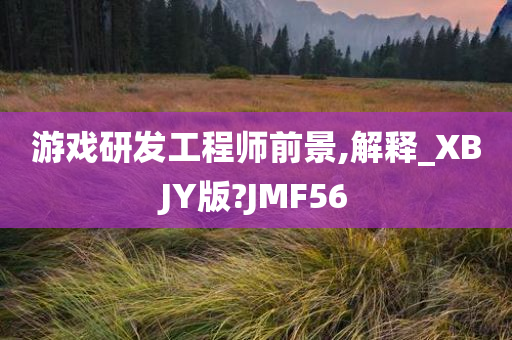 游戏研发工程师前景,解释_XBJY版?JMF56