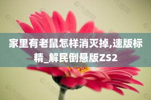 家里有老鼠怎样消灭掉,速版标精_解民倒悬版ZS2