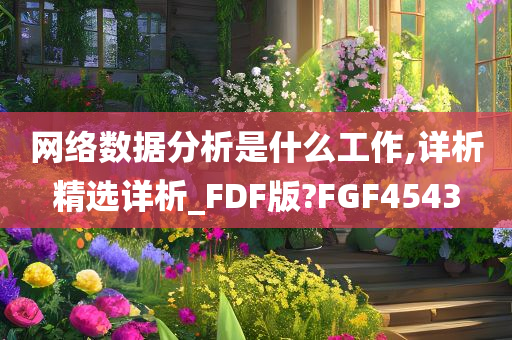 网络数据分析是什么工作,详析精选详析_FDF版?FGF4543