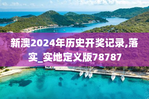 新澳2024年历史开奖记录,落实_实地定义版78787