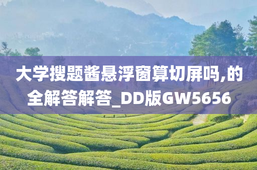 大学搜题酱悬浮窗算切屏吗,的全解答解答_DD版GW5656