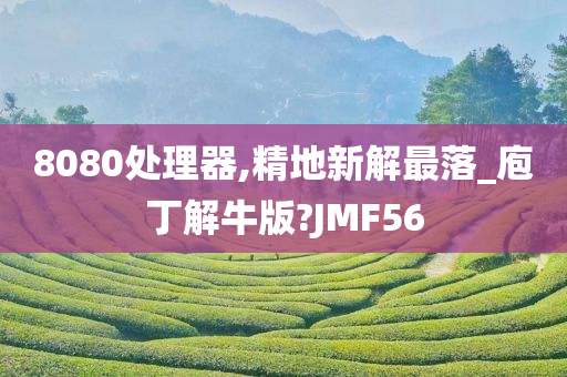 8080处理器,精地新解最落_庖丁解牛版?JMF56