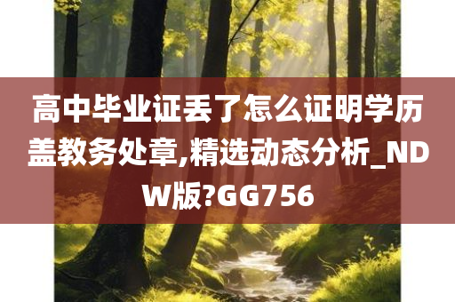 高中毕业证丢了怎么证明学历盖教务处章,精选动态分析_NDW版?GG756