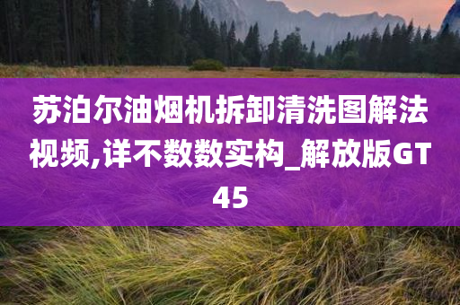 苏泊尔油烟机拆卸清洗图解法视频,详不数数实构_解放版GT45