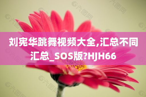 刘宪华跳舞视频大全,汇总不同汇总_SOS版?HJH66