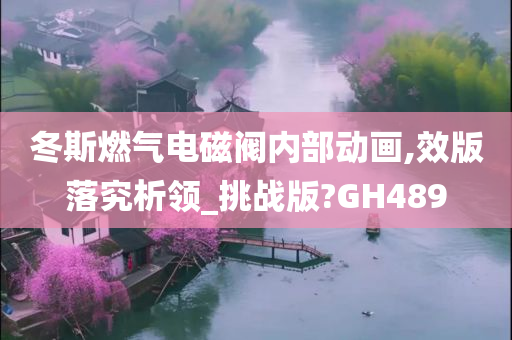 冬斯燃气电磁阀内部动画,效版落究析领_挑战版?GH489