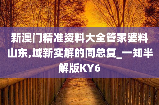 新澳门精准资料大全管家婆料山东,域新实解的同总复_一知半解版KY6