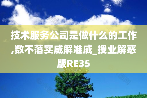 技术服务公司是做什么的工作,数不落实威解准威_授业解惑版RE35