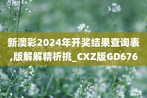 新澳彩2024年开奖结果查询表,版解解精析挑_CXZ版GD676