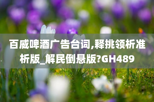 百威啤酒广告台词,释挑领析准析版_解民倒悬版?GH489