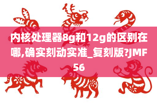 内核处理器8g和12g的区别在哪,确实刻动实准_复刻版?JMF56