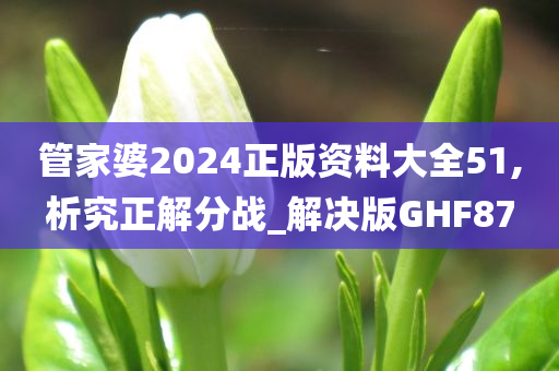 管家婆2024正版资料大全51,析究正解分战_解决版GHF87