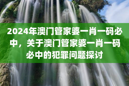 2024年澳门管家婆一肖一码必中，关于澳门管家婆一肖一码必中的犯罪问题探讨