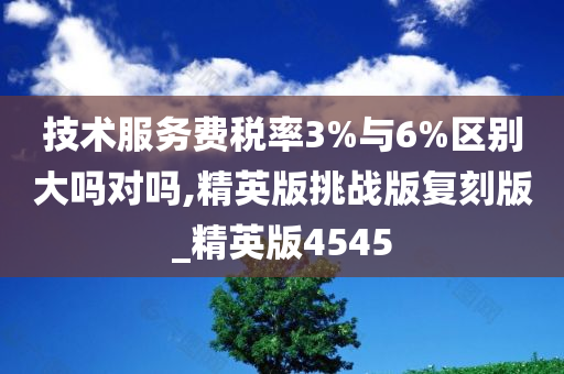 技术服务费税率3%与6%区别大吗对吗,精英版挑战版复刻版_精英版4545