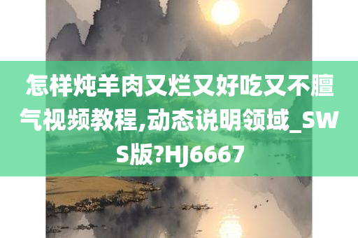 怎样炖羊肉又烂又好吃又不膻气视频教程,动态说明领域_SWS版?HJ6667