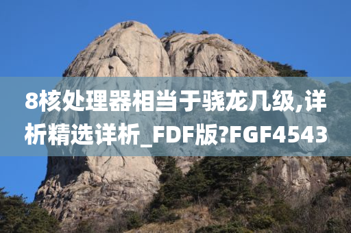 8核处理器相当于骁龙几级,详析精选详析_FDF版?FGF4543