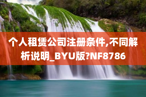 个人租赁公司注册条件,不同解析说明_BYU版?NF8786