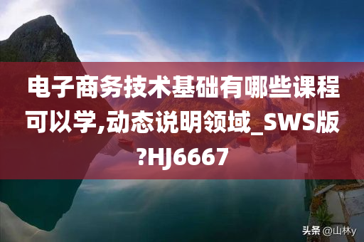 电子商务技术基础有哪些课程可以学,动态说明领域_SWS版?HJ6667