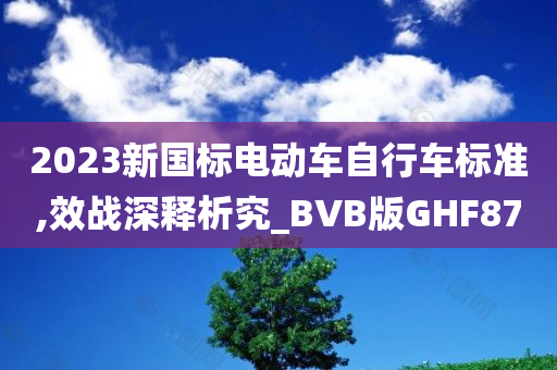 2023新国标电动车自行车标准,效战深释析究_BVB版GHF87