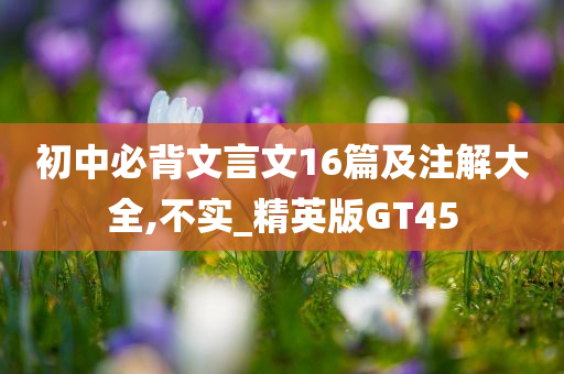 初中必背文言文16篇及注解大全,不实_精英版GT45