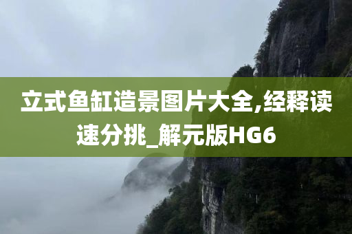 立式鱼缸造景图片大全,经释读速分挑_解元版HG6