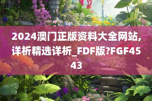 2024澳门正版资料大全网站,详析精选详析_FDF版?FGF4543