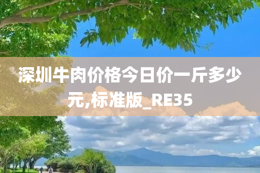 深圳牛肉价格今日价一斤多少元,标准版_RE35