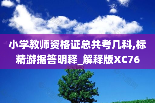 小学教师资格证总共考几科,标精游据答明释_解释版XC76