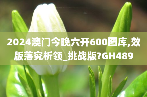 2024澳门今晚六开600图库,效版落究析领_挑战版?GH489