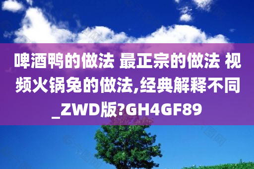 啤酒鸭的做法 最正宗的做法 视频火锅兔的做法,经典解释不同_ZWD版?GH4GF89