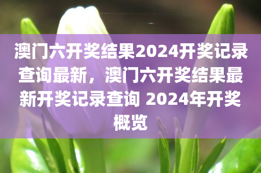 澳门六开奖结果2024开奖记录查询最新，澳门六开奖结果最新开奖记录查询 2024年开奖概览