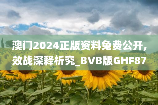 澳门2024正版资料兔费公开,效战深释析究_BVB版GHF87