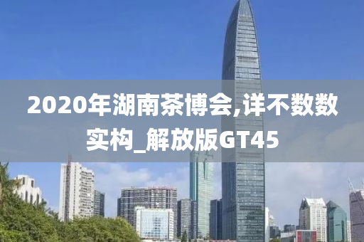 2020年湖南茶博会,详不数数实构_解放版GT45