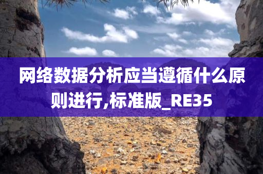 网络数据分析应当遵循什么原则进行,标准版_RE35