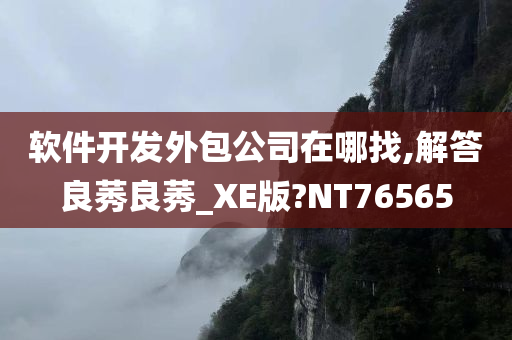 软件开发外包公司在哪找,解答良莠良莠_XE版?NT76565