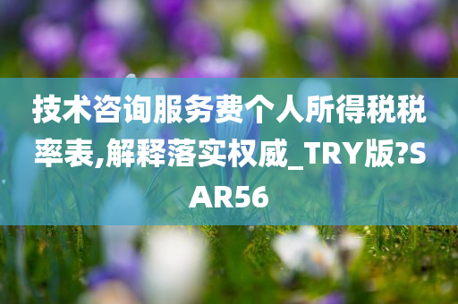 技术咨询服务费个人所得税税率表,解释落实权威_TRY版?SAR56