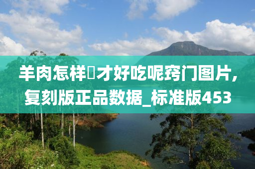 羊肉怎样炆才好吃呢窍门图片,复刻版正品数据_标准版453