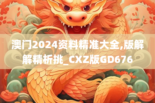 澳门2024资料精准大全,版解解精析挑_CXZ版GD676