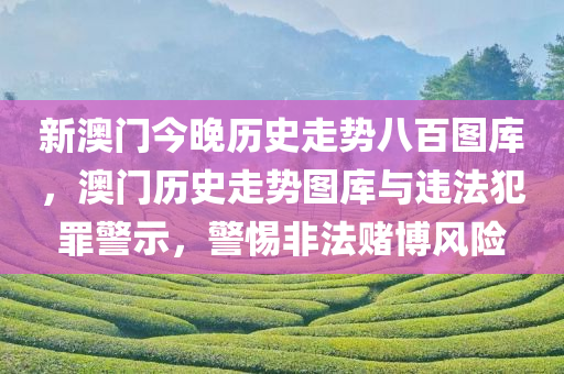 新澳门今晚历史走势八百图库，澳门历史走势图库与违法犯罪警示，警惕非法赌博风险