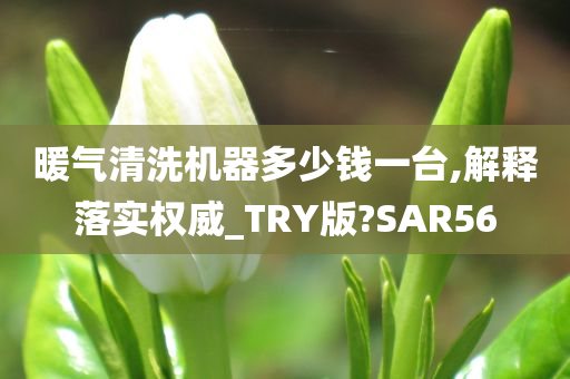 暖气清洗机器多少钱一台,解释落实权威_TRY版?SAR56