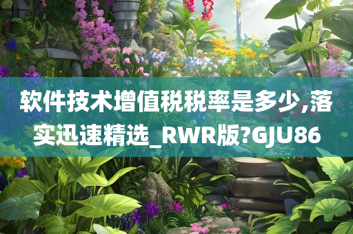 软件技术增值税税率是多少,落实迅速精选_RWR版?GJU86