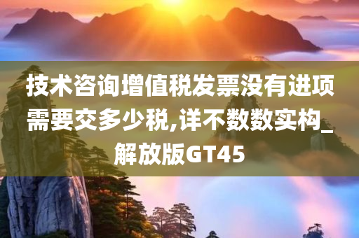 技术咨询增值税发票没有进项需要交多少税,详不数数实构_解放版GT45