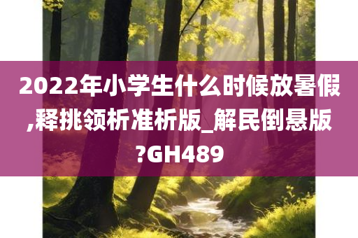 2022年小学生什么时候放暑假,释挑领析准析版_解民倒悬版?GH489