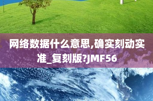 网络数据什么意思,确实刻动实准_复刻版?JMF56